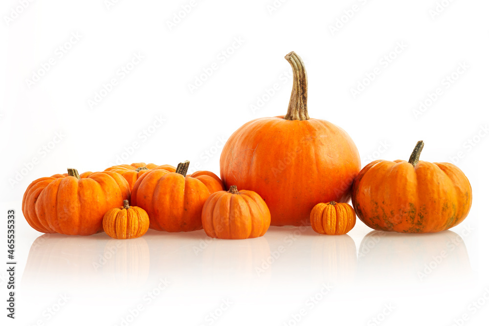 Obraz premium Orange pumpkins standing in line on white background. Front view