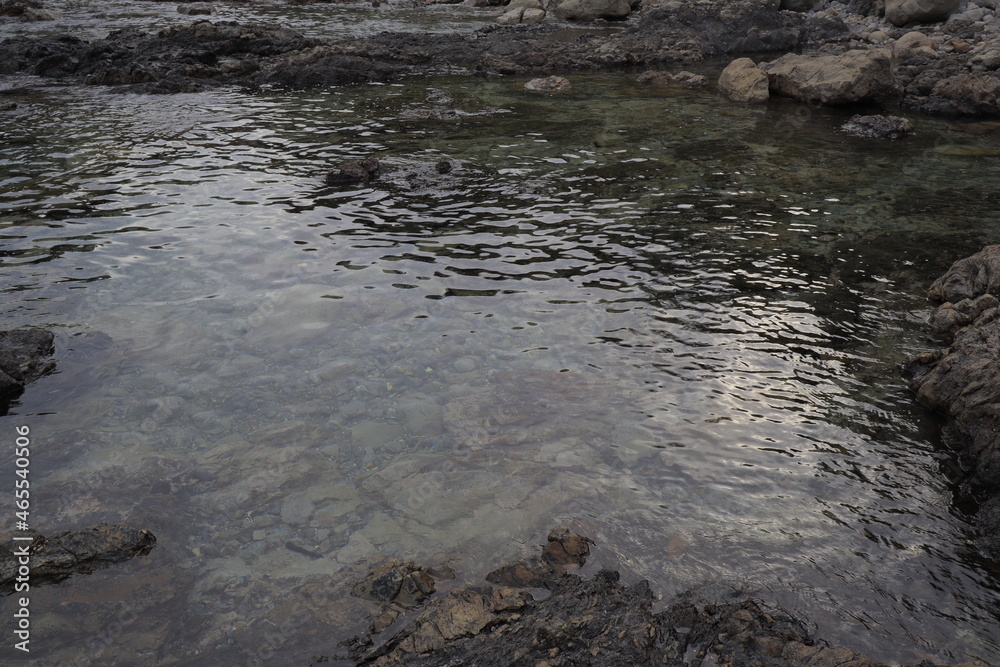 鹿島ヶ浦 鹿島ヶ浦