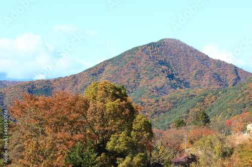 秋、紅葉の河口湖畔の風景