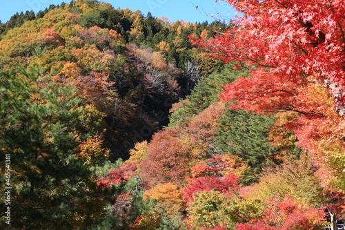 秋、紅葉の河口湖畔の風景