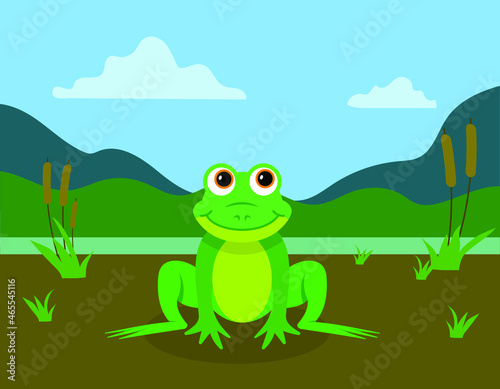 frog, cartoon style in natural environment, lake or swamp, vector illustration 