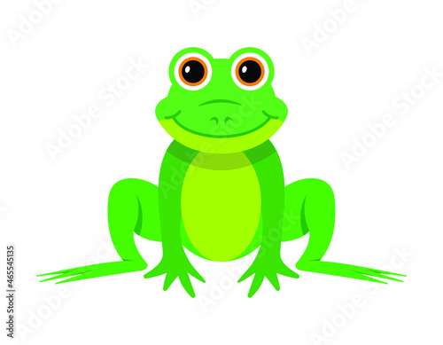 cute green frog, vector illustration 