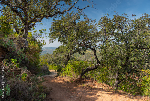 Hiking track Amendoeira near Loule in Algarve Portugal.