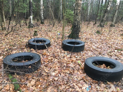 four lost tires in the forest