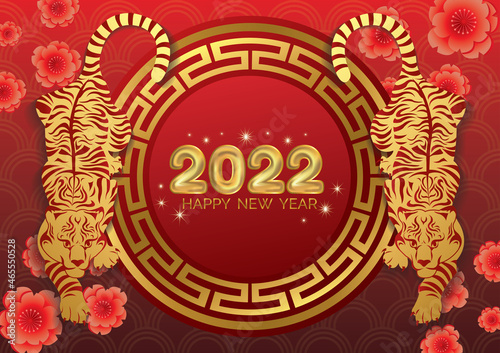 chinese new year art vector background 
