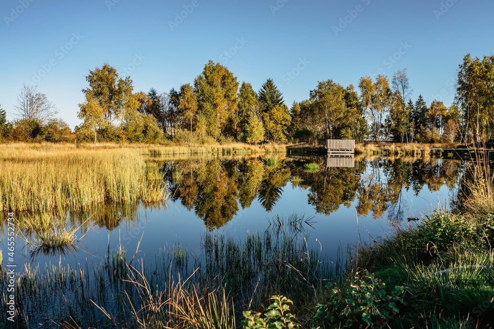 Fototapeta premium Peat bog near Pernink village in Krusne hory,Ore mountains,Czech Republic.Protected nature reserve.Colorful autumn landscape.Shot of fresh fall nature with water.Bog wetlands.Shallow basin.