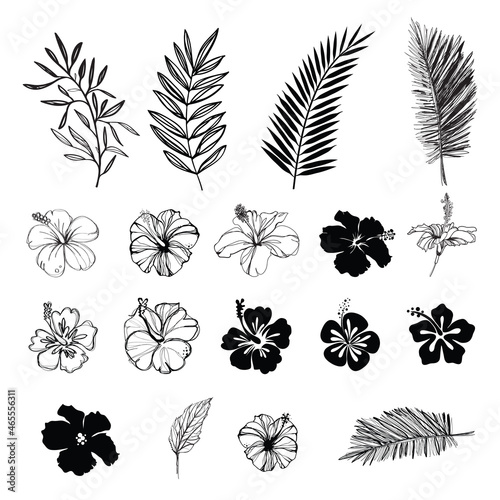 Hibiscus flowers and palm tree leaf
