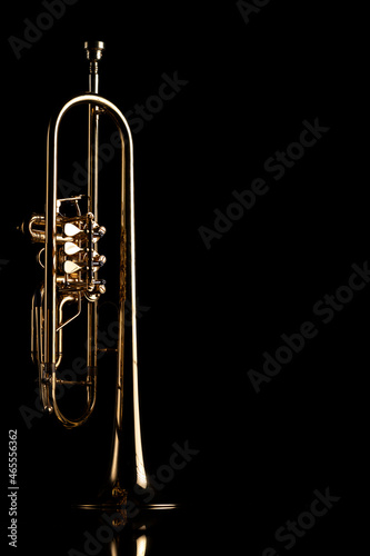 A gold plated rotary trumpet on a reflective surface. A brass instrument common in classical music.