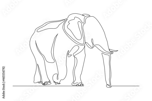 Continuous line of walking standing elephant. Single one line art of wild elephant. Vector illustration