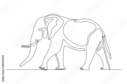 Continuous line of walking standing elephant. Single one line art of wild elephant. Vector illustration