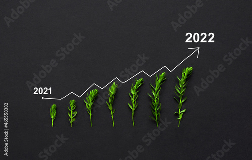 Seedling are growing with growth comparative year 2021 to 2022. New year 2022 success, strategy, plan, goals and visionConcept of business growth, profit, agriculture, development and success	
graph. photo