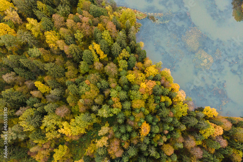 Multicolored autumn forest and clear river, aerial photography. Travel in Russia. Suitable for vacation advertising.