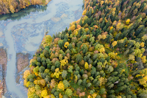 Multicolored autumn forest and clear river, aerial photography.  Travel in Russia. Suitable for vacation advertising. © Павел Чепелев