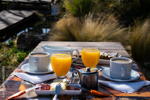 delicioso desayuno campestre al aire libre, sobre una mesa de madera en el jardin, cafe, jugo de naranja, mermeladas caseras, leche photo