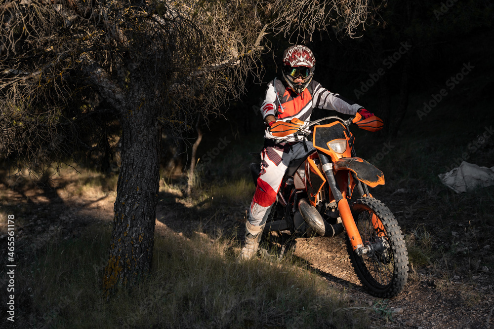 Unrecognizable man riding motorcycle in forest Unrecognizable man riding motorcycle in forest