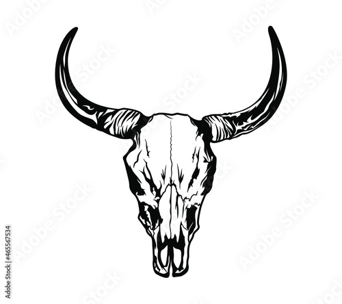Buffalo skull - hand drawn vector illustration isolated on white.