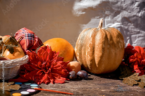 Autumn aesthetic fair: yellow fruits and vegetables and bright paints with a brush, pumpkin, pears, apple and melon. Thanksgiving Day concept. Autumn still life with red georgine, modern shadows photo