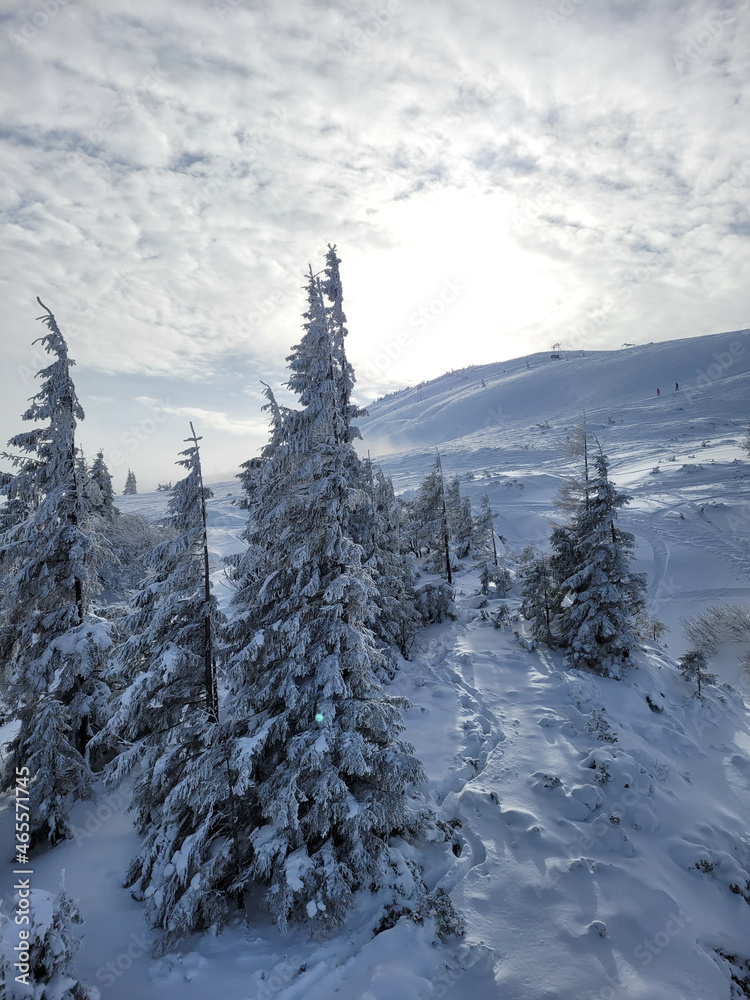 Fototapeta premium Winter landscape on the slope of the mountain of the ski resort. Ukraine Dragobrat.
