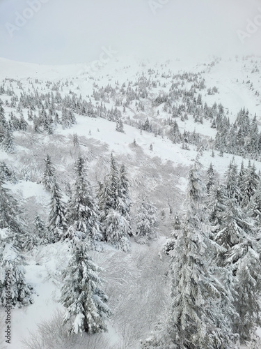 Winter landscape on the slope of the mountain of the ski resort. Ukraine Dragobrat. © V'yacheslav Partola