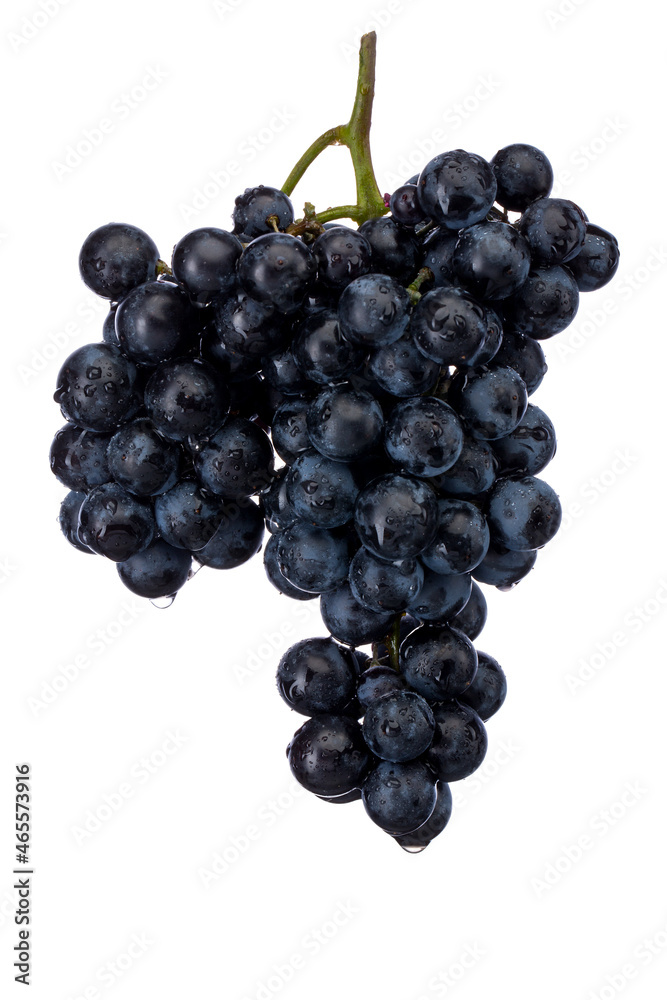 Dark blue grape with leaves isolated on white background