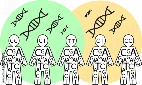 Illustration of human population carrying DNA - population genetics and genetic studies photo