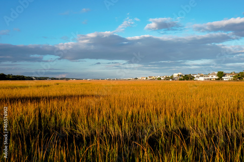 marsh with clouds