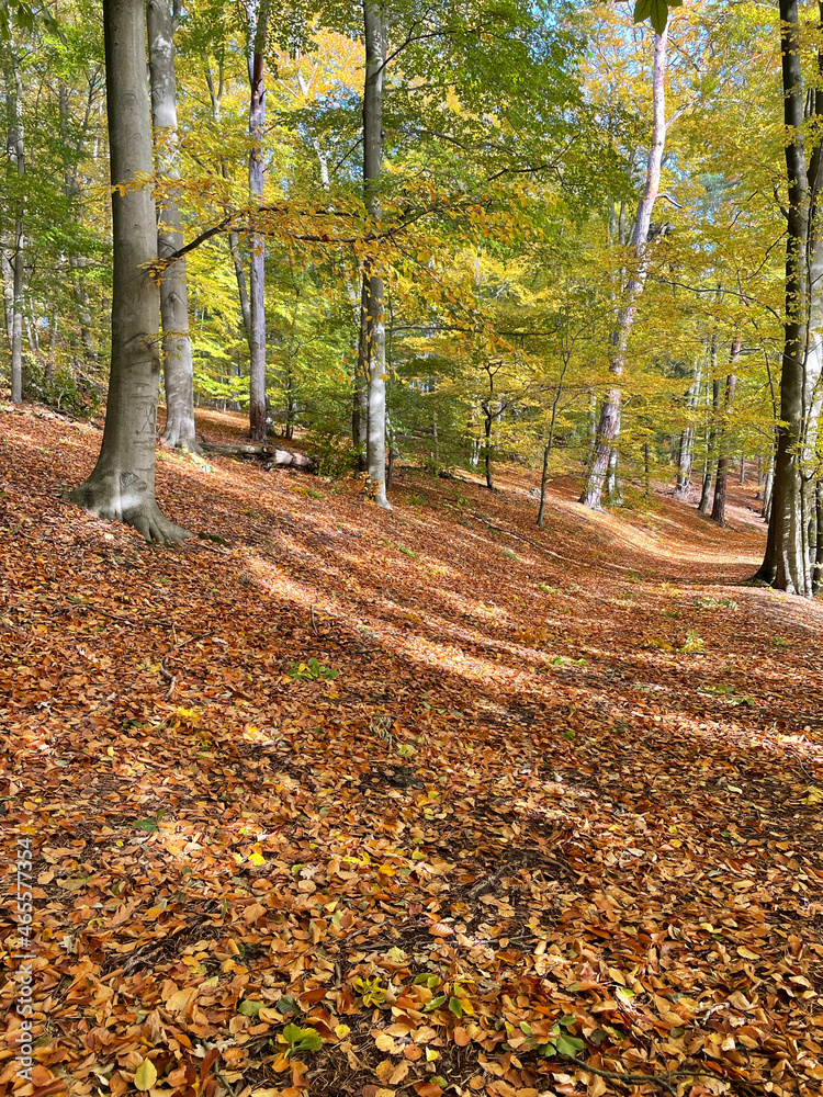 Hellsee, Barnim, Brandenburg, Herbst Hellsee, Barnim, Brandenburg, Herbst