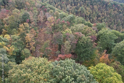 Autumn View West Virginia 