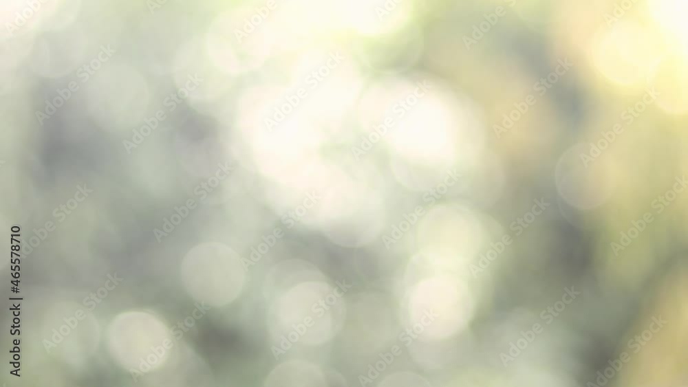 Blur bokeh light background .Summer concept of abstract nature blurred background. Sun breaking through leaves blurred bokeh background. Blur bokeh light background .Summer concept of abstract nature blurred background. Sun breaking through leaves blurred bokeh background.