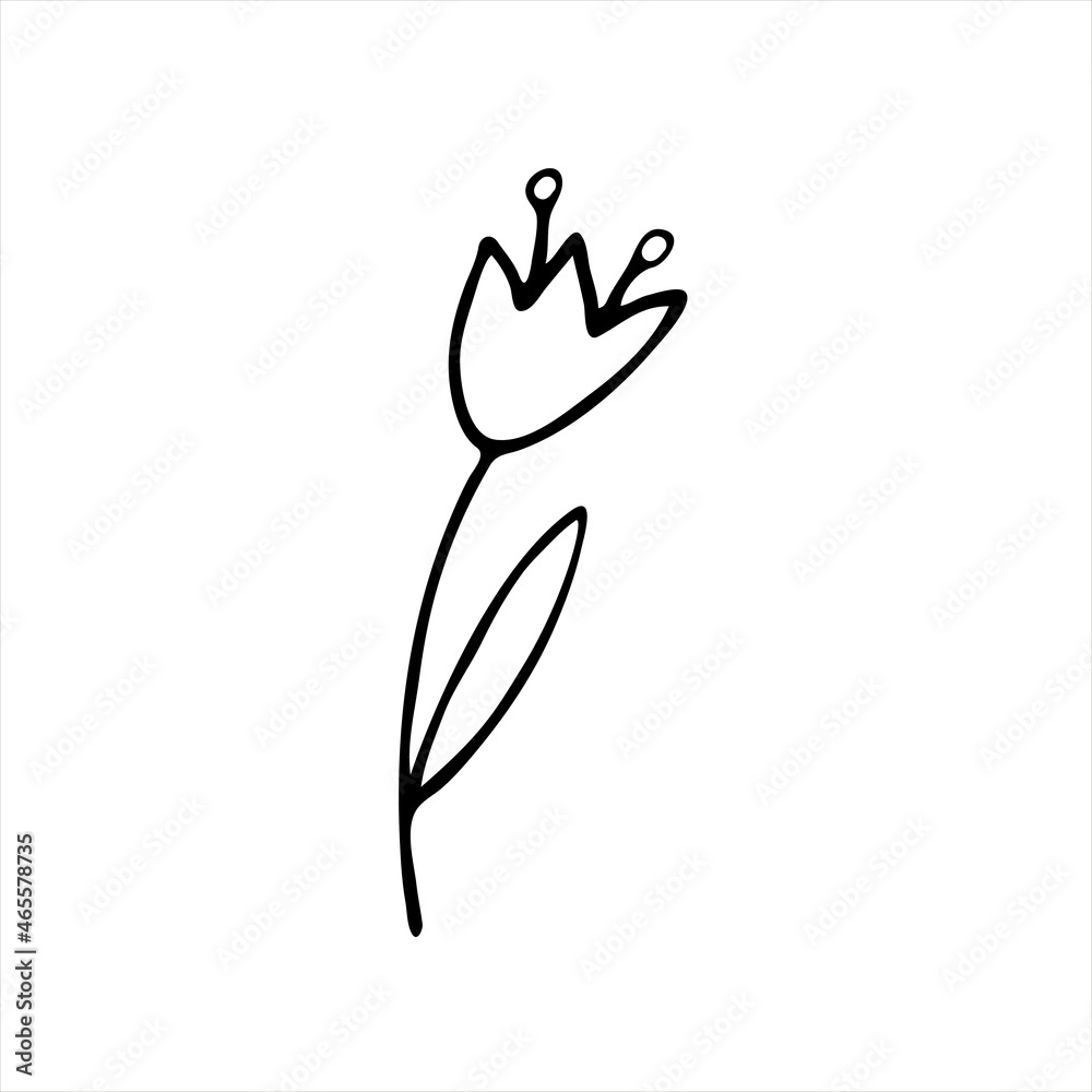 Hand-drawn flowers.Doodle style, sketch, drawing with floral floral elements, minimalism. Isolated. Vector illustration. Hand-drawn flowers.Doodle style, sketch, drawing with floral floral elements, minimalism. Isolated. Vector illustration.