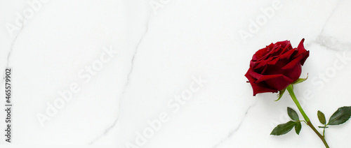 A red rose on a marble background. Valentine s day background  template  love symbol with space to copy text