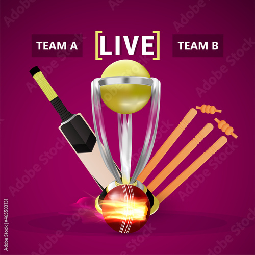 Cricket live tournament with gold trophy and wicket