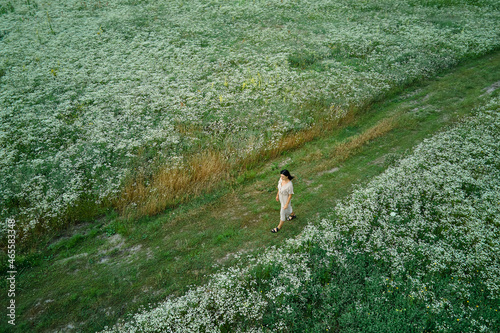 Drone aerial view of woman in dress walking in flower blooming meadow