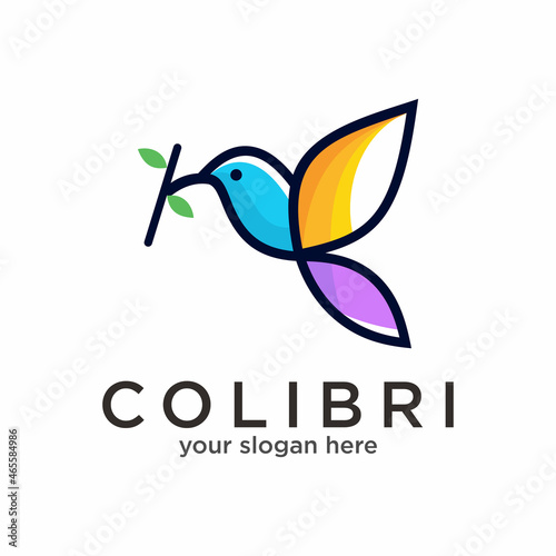 Humming bird colorful logo Vector