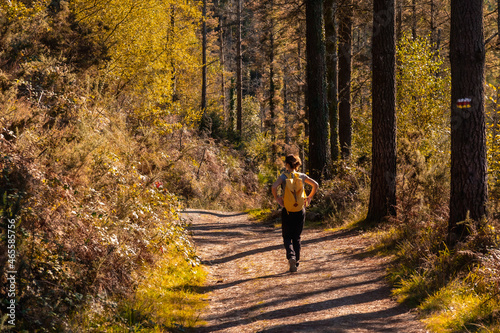 A young hiker in an autumn sunset on a route through a beautiful forest, getting to know nature © unai