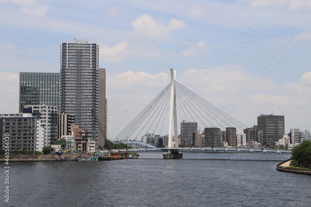 佃大橋から見る中央大橋と隅田川(東京都中央区) 佃大橋から見る中央大橋と隅田川(東京都中央区)