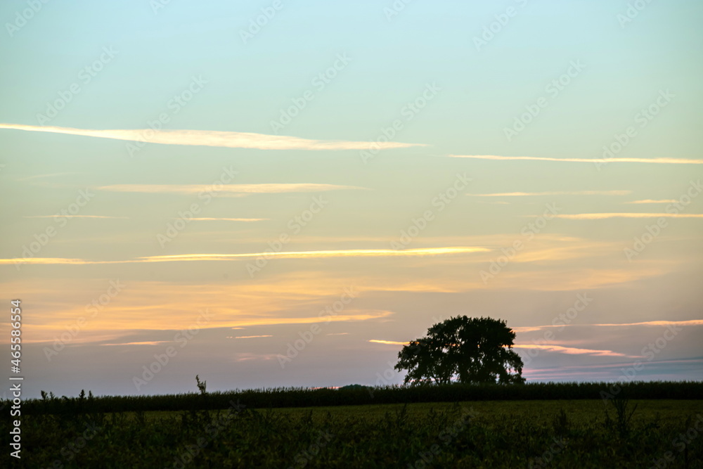 Summer landscape photo, Dawn sunset beautiful paints painted the sky, pastel shades, trees in the shade of the setting sun Summer landscape photo, Dawn sunset beautiful paints painted the sky, pastel shades, trees in the shade of the setting sun