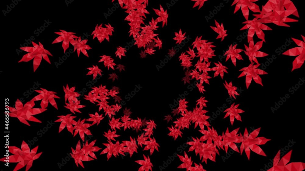 Many red autumn leaves floating in air on black background. Low polygonal plant. Symbol of digital technology. Abstract loop animation. Many red autumn leaves floating in air on black background. Low polygonal plant. Symbol of digital technology. Abstract loop animation.