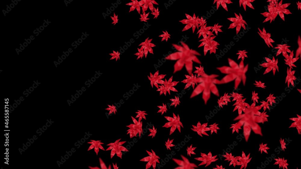 Many red autumn leaves floating in air on black background. Low polygonal plant. Symbol of digital technology. Abstract loop animation.