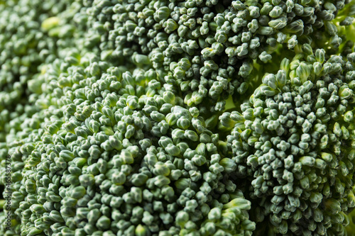 Broccoli vegetables close-up. Asparagus cabbage. © Yulia Kravchenko