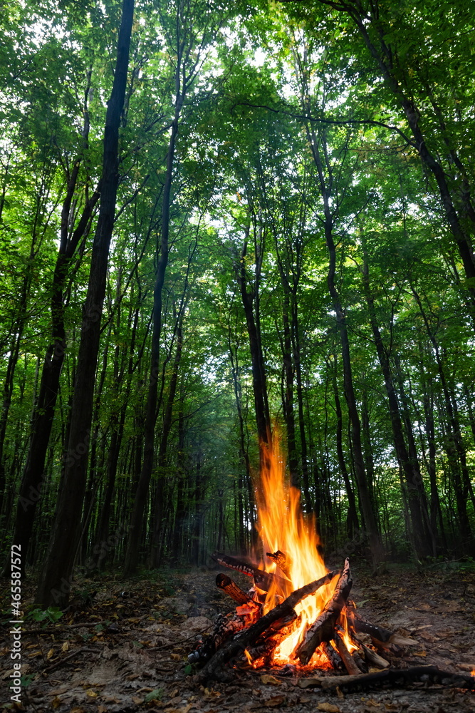 Burning fire. The bonfire burns in the forest. Texture of burning fire. Bonfire for cooking in the forest. Burning dry branches. Tourist fire in the forest. Texture of burning branches Burning fire. The bonfire burns in the forest. Texture of burning fire. Bonfire for cooking in the forest. Burning dry branches. Tourist fire in the forest. Texture of burning branches