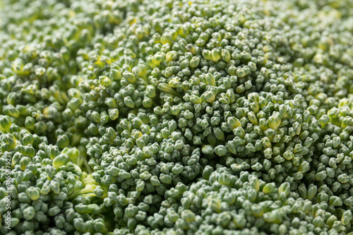 Broccoli vegetables close-up. Asparagus cabbage.