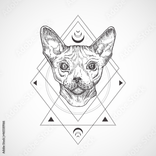 Abstract Occult Symbol, Vintage Style Logo or Tattoo Template. Hand Drawn Cat Sketch Symbol and Geometric Mystical Magic Ornaments and Signs. Isolated