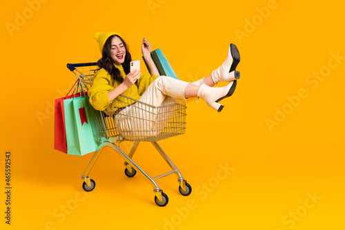 White excited woman laughing and using cellphone in shopping cart © Drobot Dean