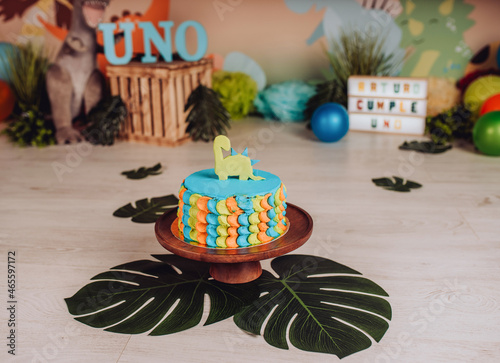  First birthday smashcake photo session of a jungle theme in a photo studio photo