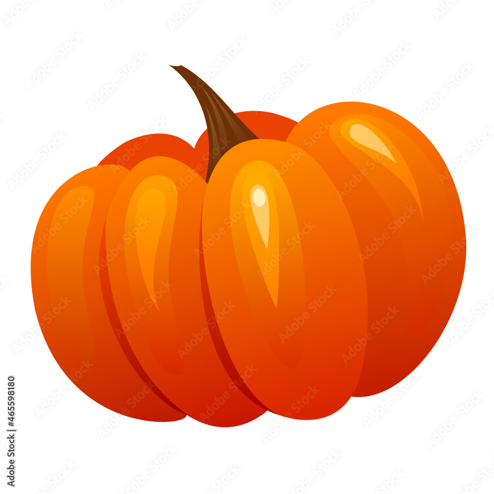 Orange pumpkin on a white background
