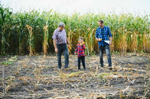 Family farming. Farmers grandfather with son and young grandson in a corn field. Agriculture concept.