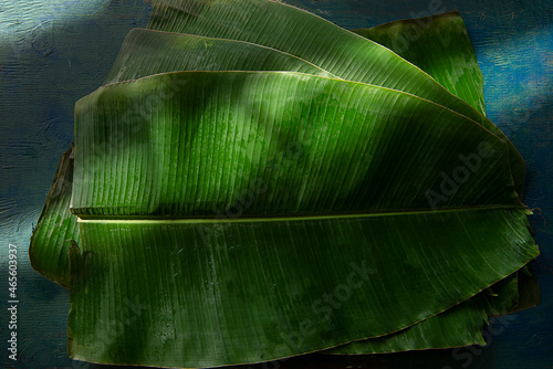 Banana leaves 