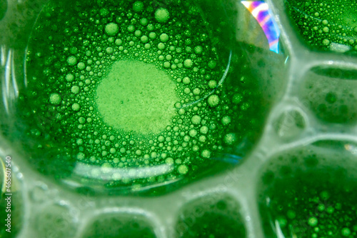 Drops and bubbles of green water and oil
