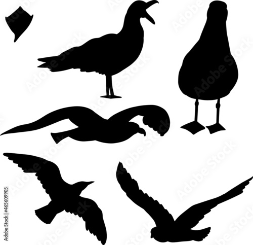 Set of hand drawn black gull silhouette birds, vector file